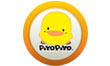 Piyo Piyo