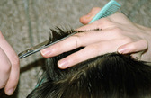 Hair.com (Sparkle Express) The Family Salon
