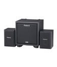 Roland CM-110 Cube Monitor