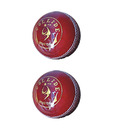 SM Collide Cricket Leather Ball (2 qty)