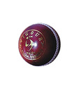 SM Vigour Cricket Leather Ball