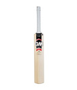 GM Flare 101 Kashmir Willow Cricket Bat