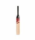 BEES Elite Kashmir Willow Cricket Bat
