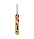 Slazenger V-100 Amatuer  (SH) Kashmir Willow Cricket Bat