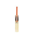 Cosco Dynamite Kashmir Willow Cricket Bat