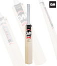 GM Flare 101 Kashmir Willow Cricket Bat