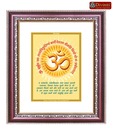 Diviniti DG Om with Gayatri Mantra Car Frame