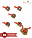 Divine Miracles 15 Feng Shui Lucky Coins