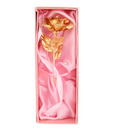 Shanti Pretty Gold Foil Flower Gift