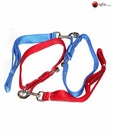 Body Set-Leash+Collar (Plain) - 1Inch - Dog Collar
