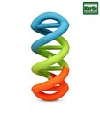 Boomer DNA Rubber Toy - Dog Toy