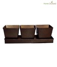 Home Orchard Brown Planter Set With Tray