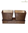 Home Orchard Brown Planter Set  With Tray