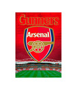 Arsenal (18.7 x 26.8 Inches)