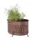 Live n Style Copper Finish Modish Planter