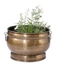Live n Style Large Brass Finish Planter With Rings