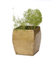 Live n Style Swanky Brass Finish Small Size Planter