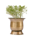 Live n Style Brass Finish Iron Planter(Small)