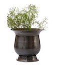 Live n Style Royal Style Iron Planter
