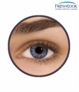 Freshlook one Day (10 Lenses Pack) Grey