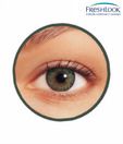 Freshlook Colour (2 Lens Pack ) Green