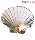 Pllanet Gold Peacock Shell Ganesha Idol