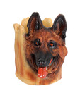 Pllanet Gold Dog Pen Holder