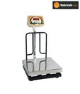 Platform Scale