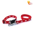 Scoobee Bright Red Paw Design Lead & Collar
