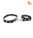 Scoobee Classic Black Collar & Lead With Paw Print