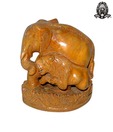 Ratoomal