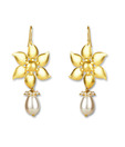 Silver Centrre Dazzling Earrings