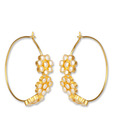 Silver Centrre Splendid Earrings