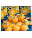 GKI Euro Star Table Tennis Ball (2 dozen)