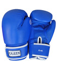 Kaizen 6 Oz Diamond Boxing Gloves All PU Sponge Paded Dunlop