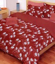 Bombay Dyeing-La Rosa 100% Cotton Bed Sheet with 2 Pillow Covers
