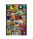 Batman Covers (24 x 36 Inches)