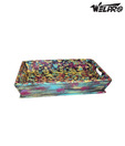 Welpro Multi Painted Tray