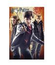 Harry Potter 7 - Trio (24 x 36 Inches)