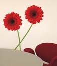 Plage MS Gerberas Wall Sticker
