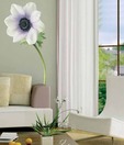 Plage White Anemone Wall Sticker- Large
