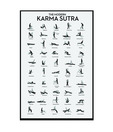 The Modern Karma Sutra (24 x 36 Inches)