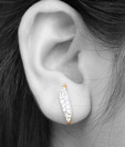 Erato Elegant Golden Plated CZ Sterling Silver Studs