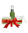 Nakshikh Combo ( Apricot Scrub + Toner + Moisturizer ) 100gm Each