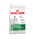 ROYAL CANIN Mini Starter Mother & Babydog Dog Food 1kg (Pack Of 2)