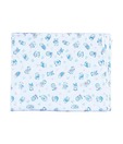 Advance Baby White &  Blue Plastic Sheet - Small