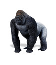 Safari Ltd Silverback Gorilla