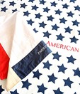 American Swan Tempting Taos Napkin