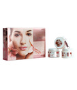 Aryanveda Fairness Kit 100gm