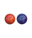 Fitness World  Gym Bal  (75 Cm)